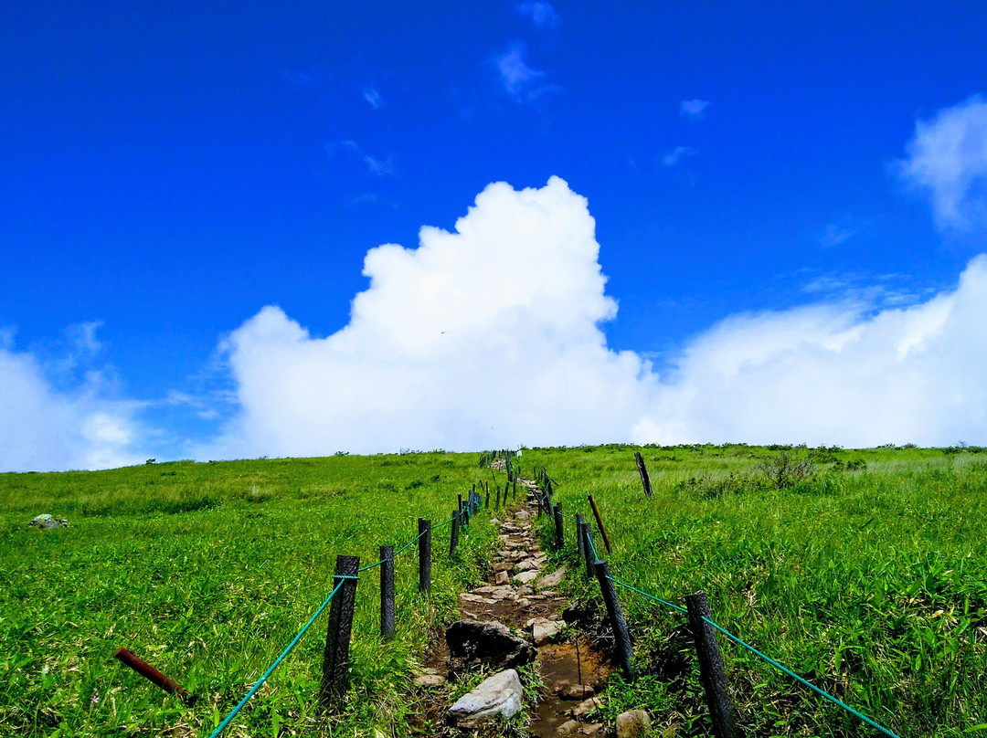 Kirigamine Marshland景点图片