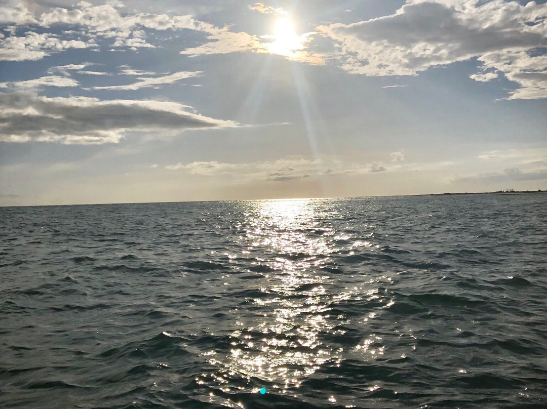 Gulf Island Tours-恩格尔伍德必去景点