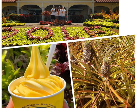 Exclusive Transportation Of Hawaii LLC-火奴鲁鲁必去景点