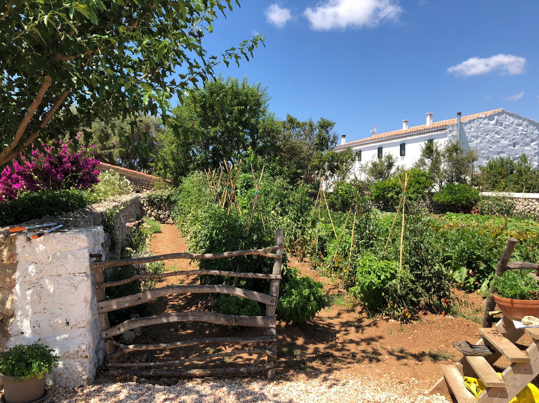 Farmstay Biniati d's Pi主图