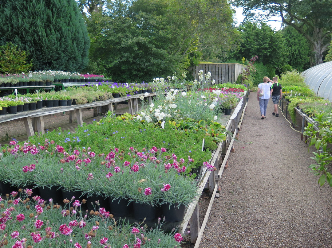 Stanton Hall Gardens and Nursery景点图片