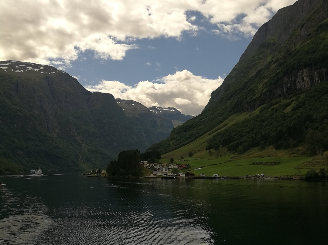 Naeroyfjord景点图片