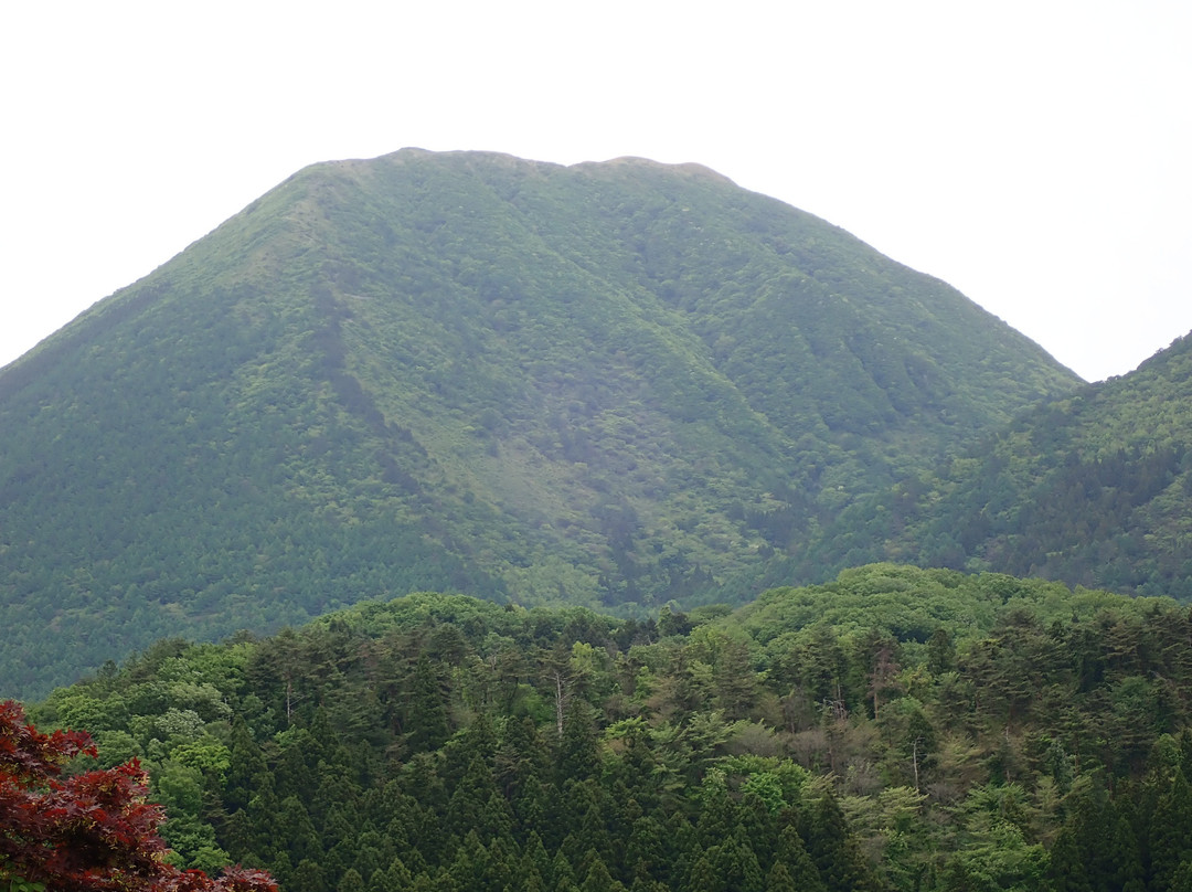 Ukinunoike Pond-大田市必去景点