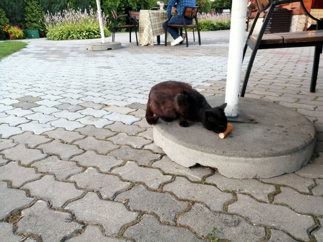 Hotel Bialowieski Conference Wellness & Spa主图