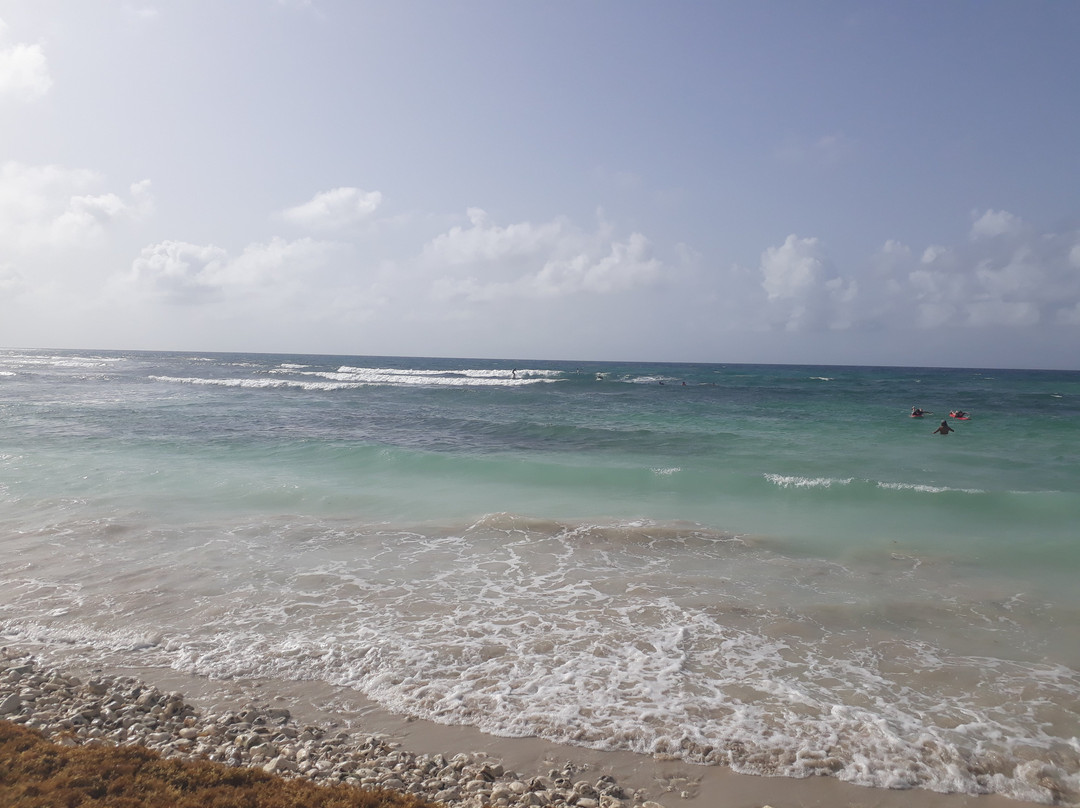 Ecole de Surf de Guadeloupe景点图片
