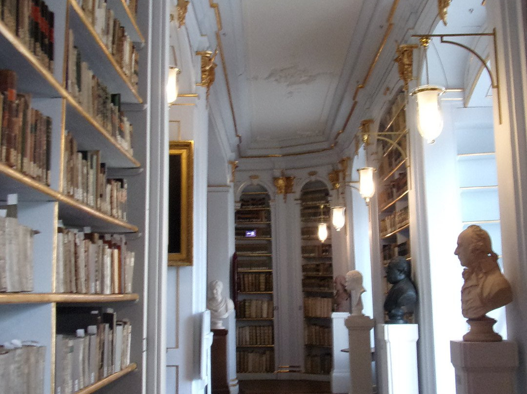 Duchess Anna Amalia Library-魏玛必去景点