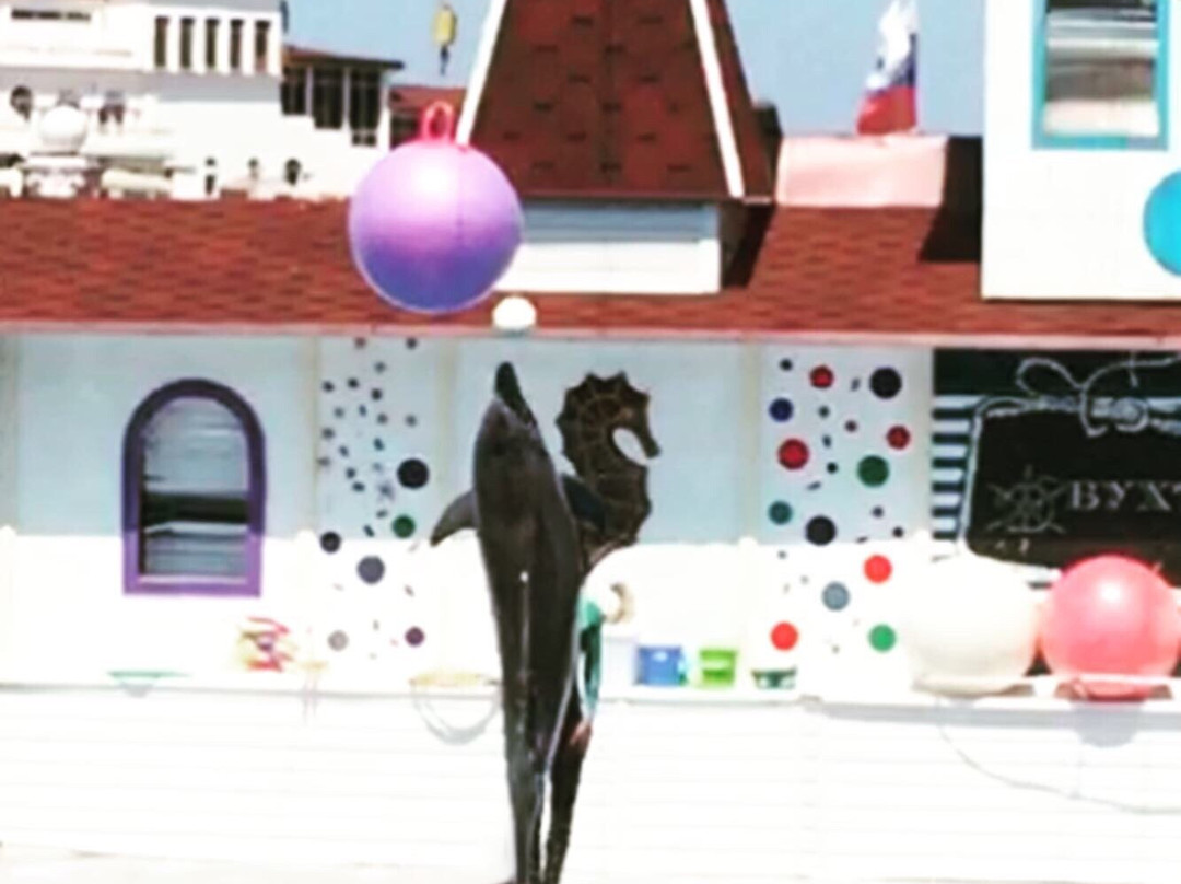 Sevastopol Dolphinarium in Artillery Bay-塞瓦斯托波尔必去景点