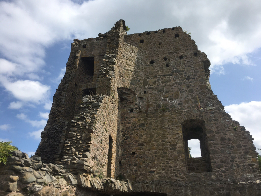 Sketrick Castle景点图片