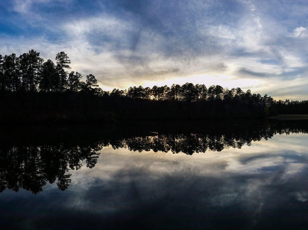 Wildwood Park for the Arts-小石城必去景点