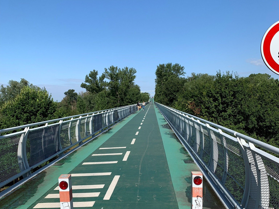 Freedom Cycling Bridge-Devinska Nova Ves必去景点