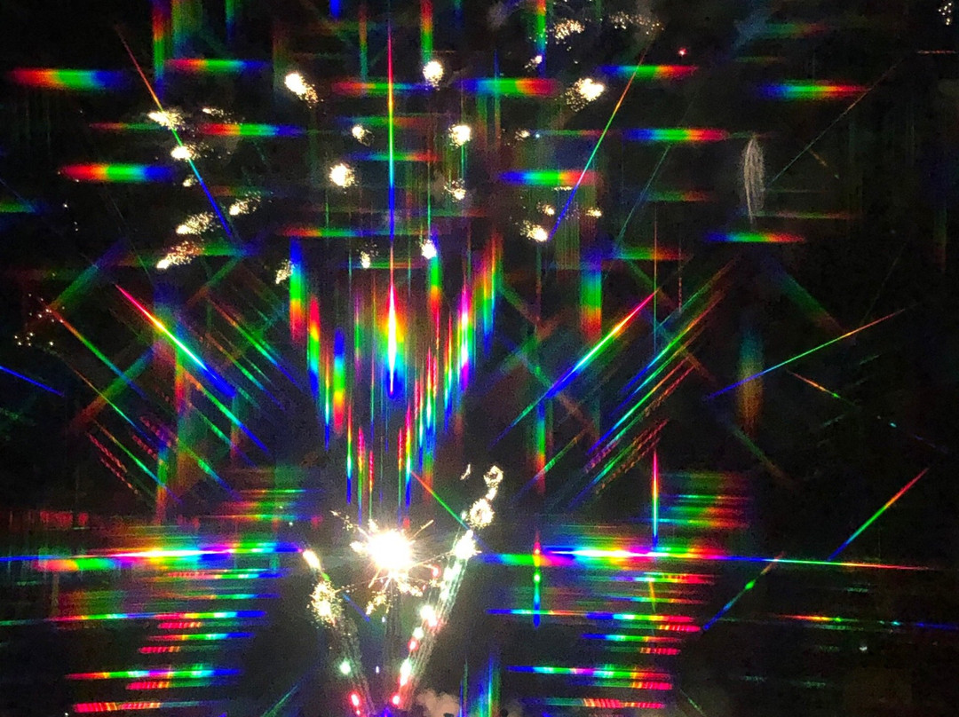 芝加哥水星天航水上游-芝加哥必去景点