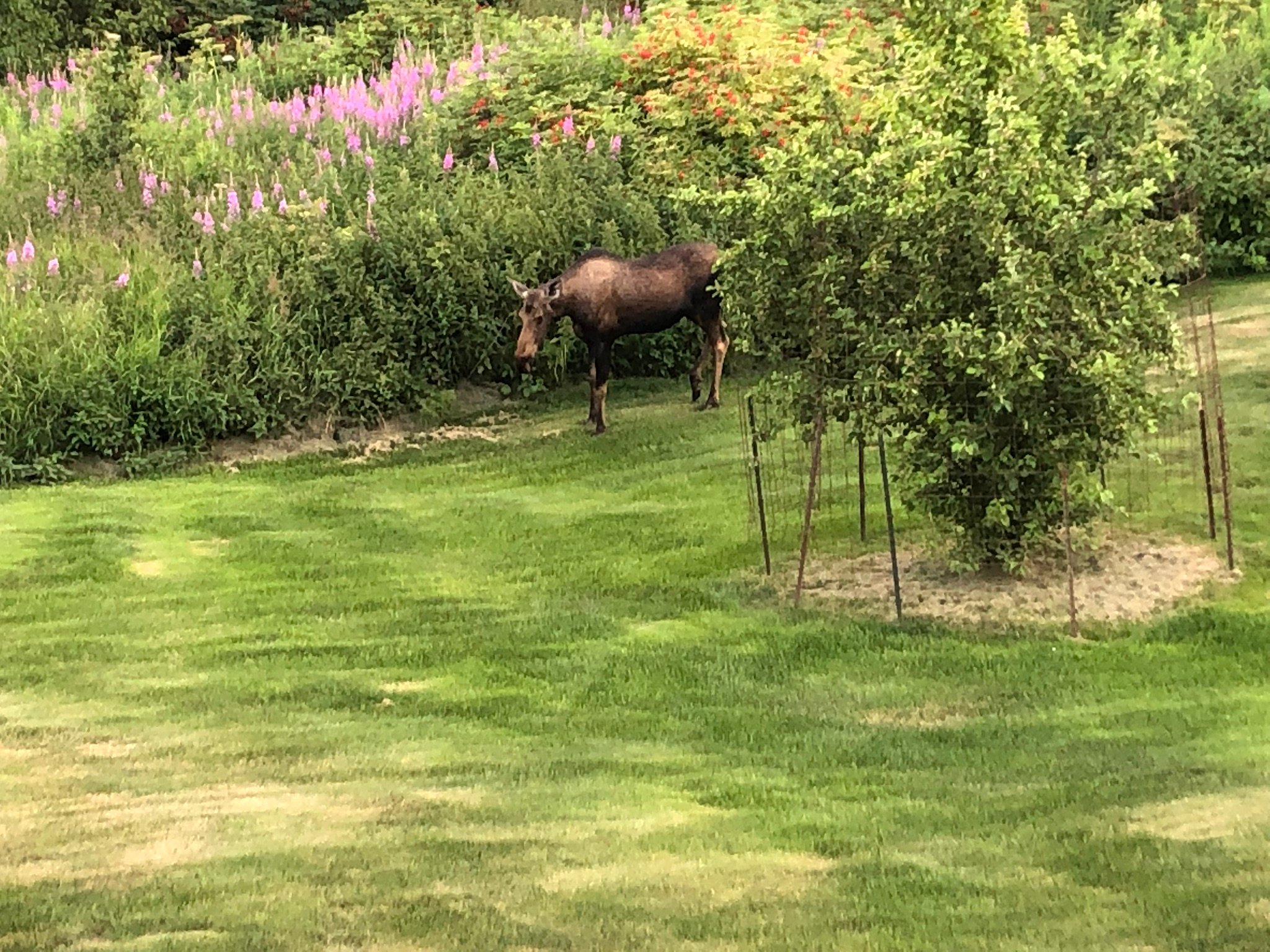 Crane's Rest B&B-浴室