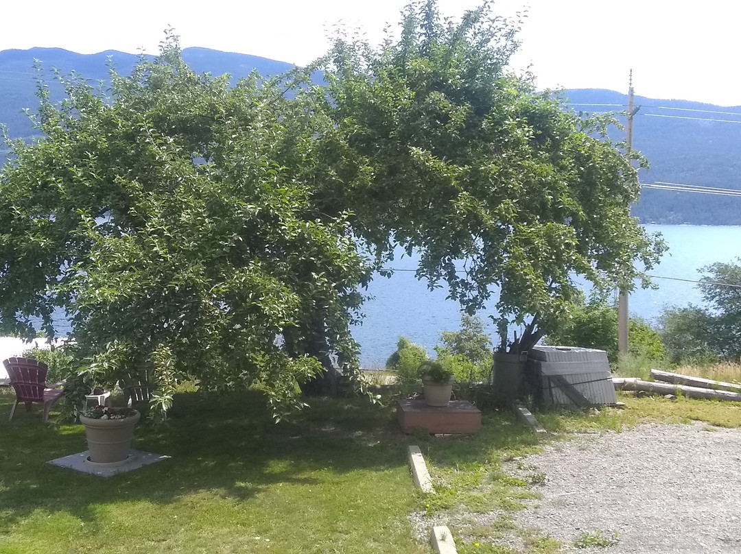 Ainsworth Motel主图