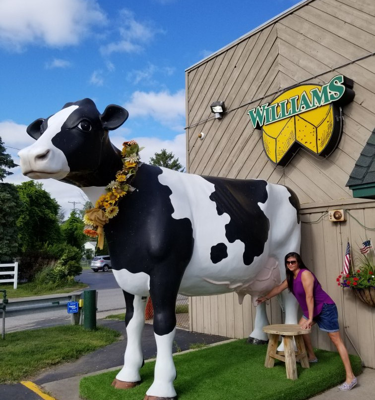 Williams Cheese Factory Outlet景点图片