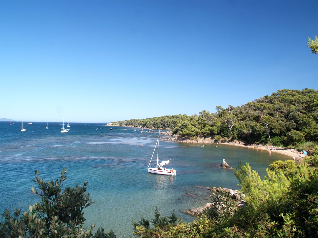 Camping le Méditerranée