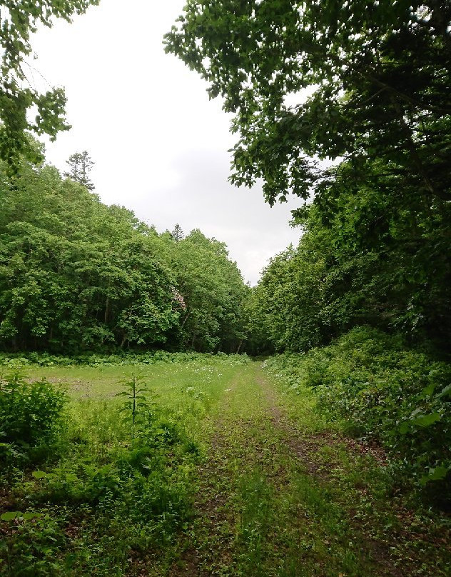 Biruwa Mashu Trail-弟子屈町必去景点