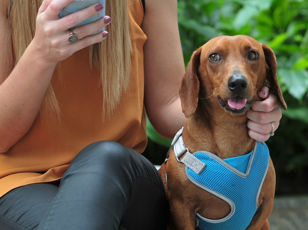 Patio Design LifeStyle Center-圣克鲁斯省必去景点