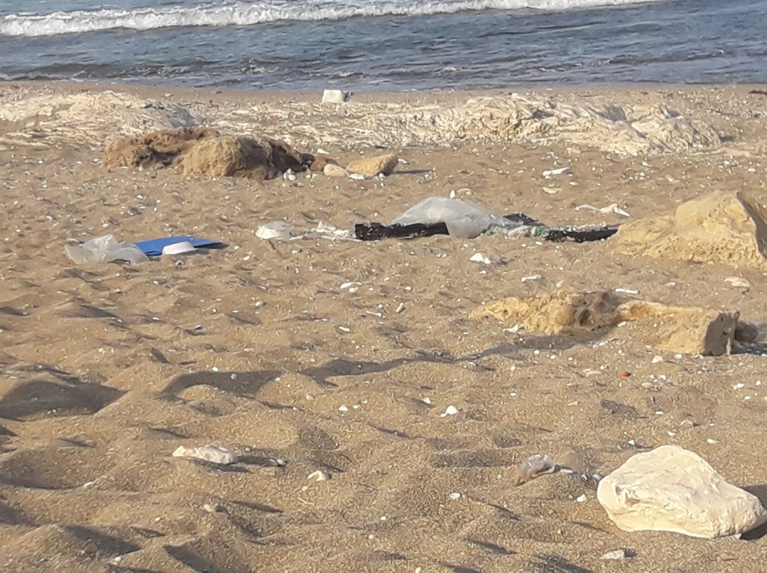 Hecht Park-Haifa必去景点