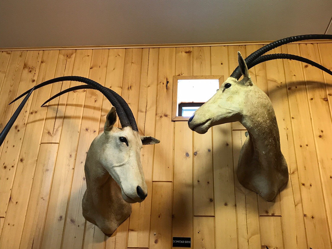 B-Square Ranch-法明顿必去景点