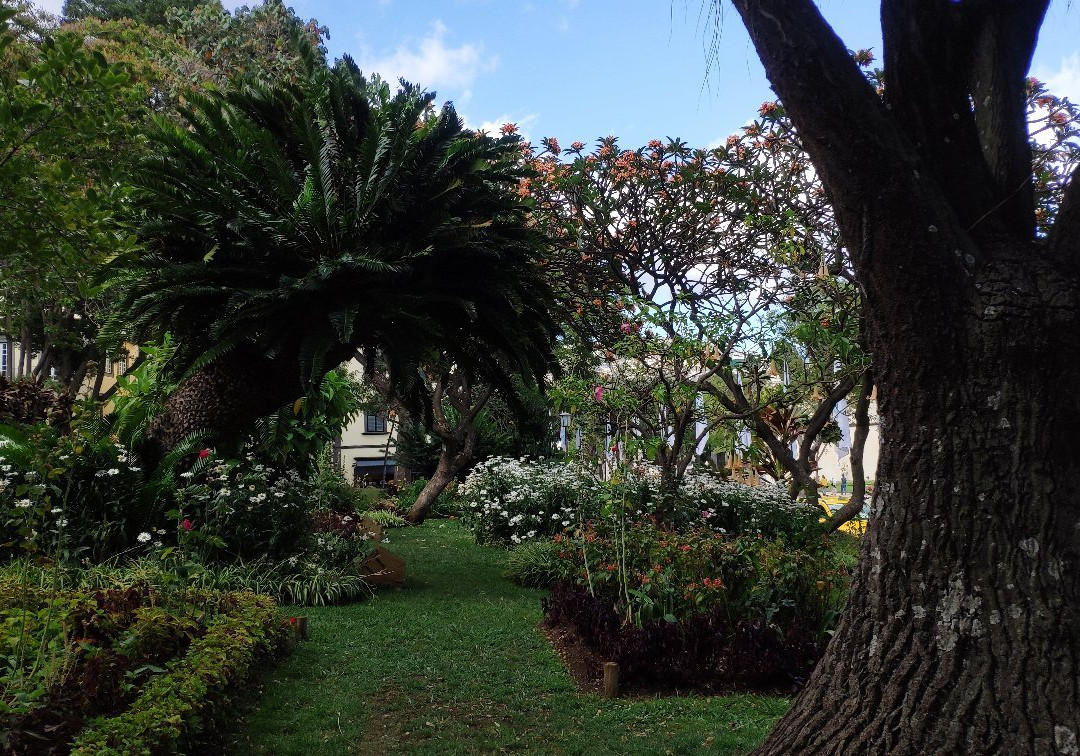 Municipal Gardens景点图片