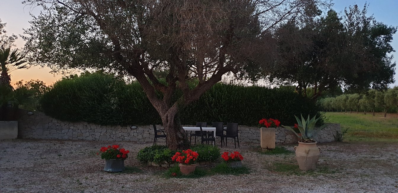 Hotel dei Messapi-官方