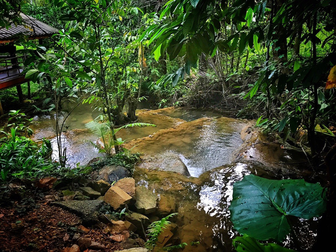 Baan Suan Tondin主图