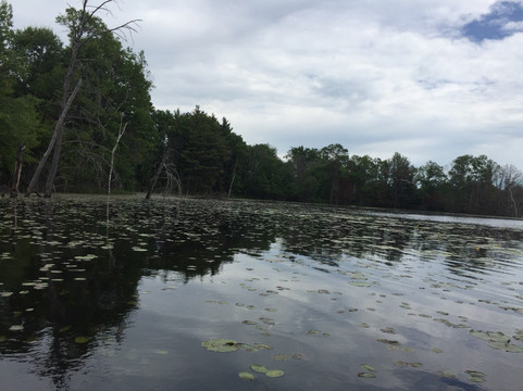 Pillsbury State Forest-Pillager必去景点
