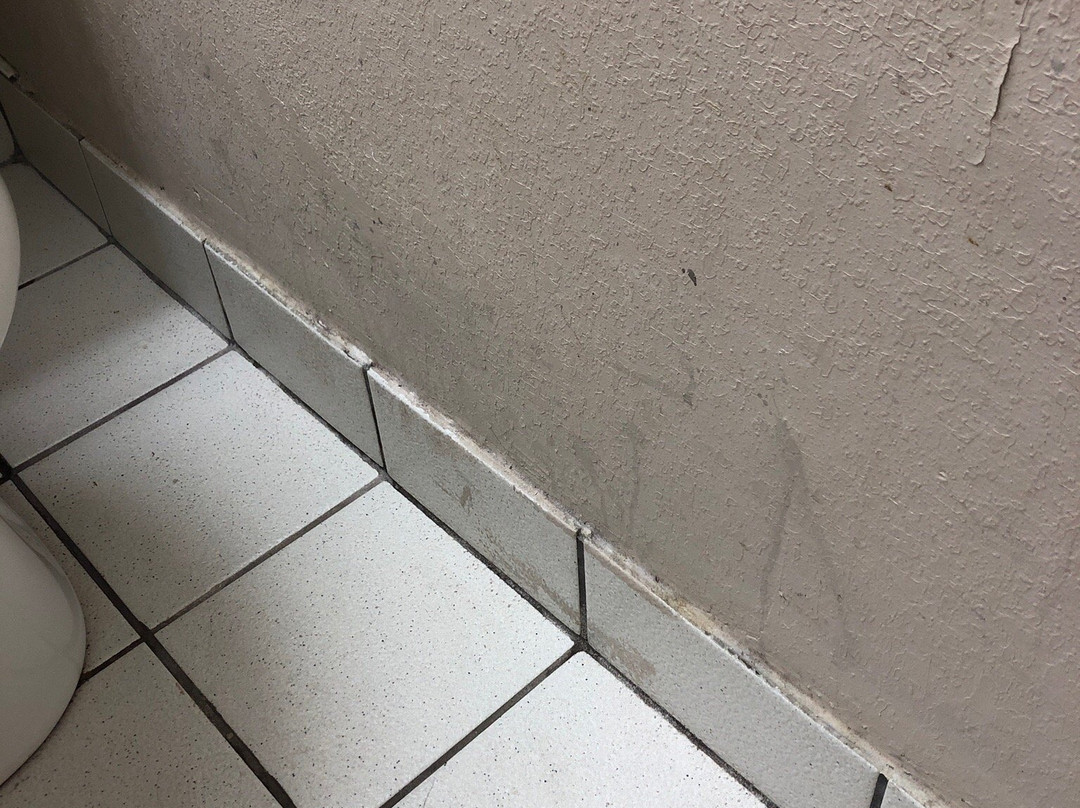 Travel Lodge Great Barrington Mass主图