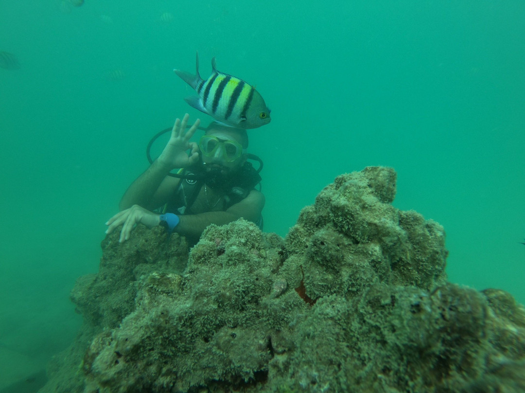 Kish diving center-基什岛必去景点