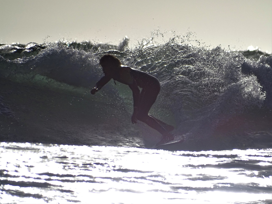 Aloha Surf Camp Maroc主图