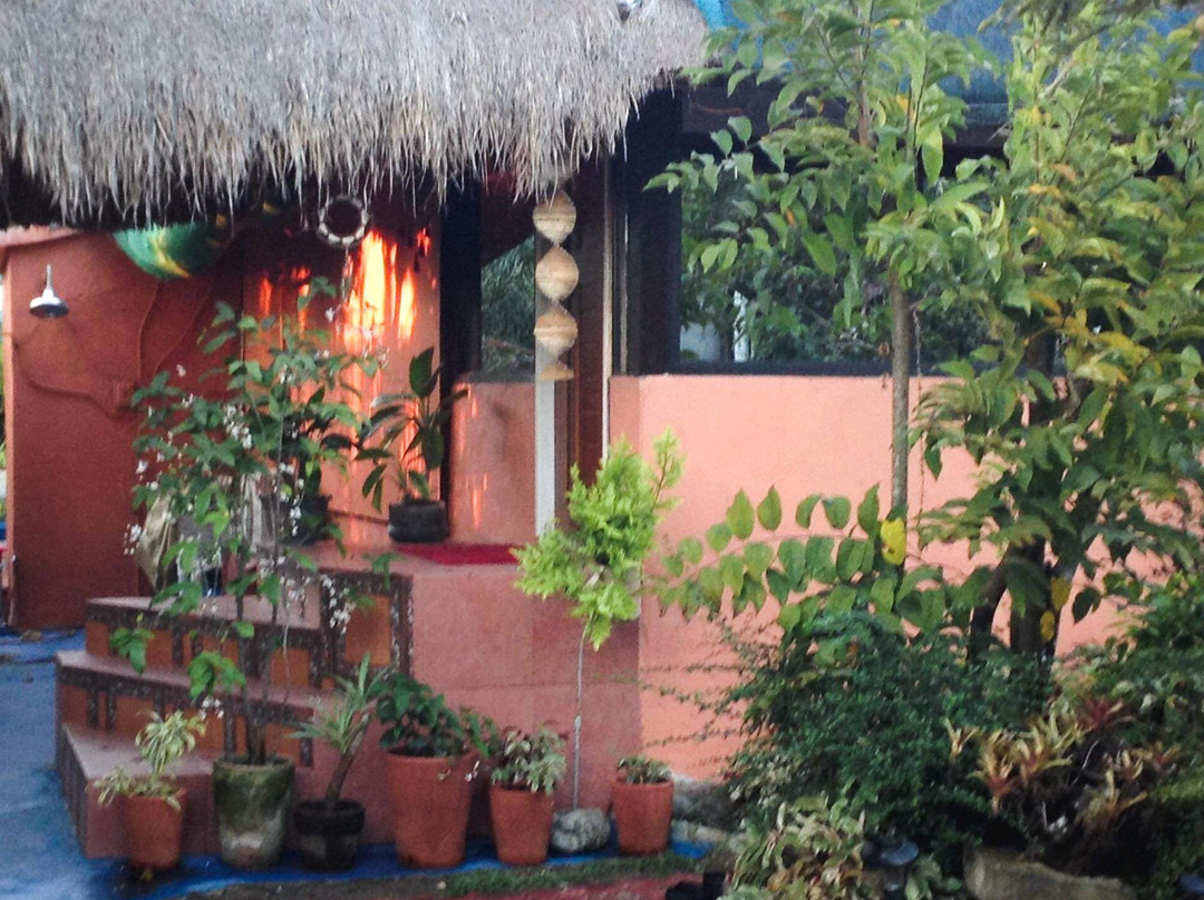 The Bamboo Orange Guesthouse主图