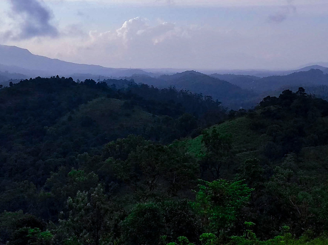 Rain Country Resorts主图