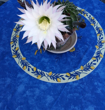 洛拉斯特利伊酒店主图