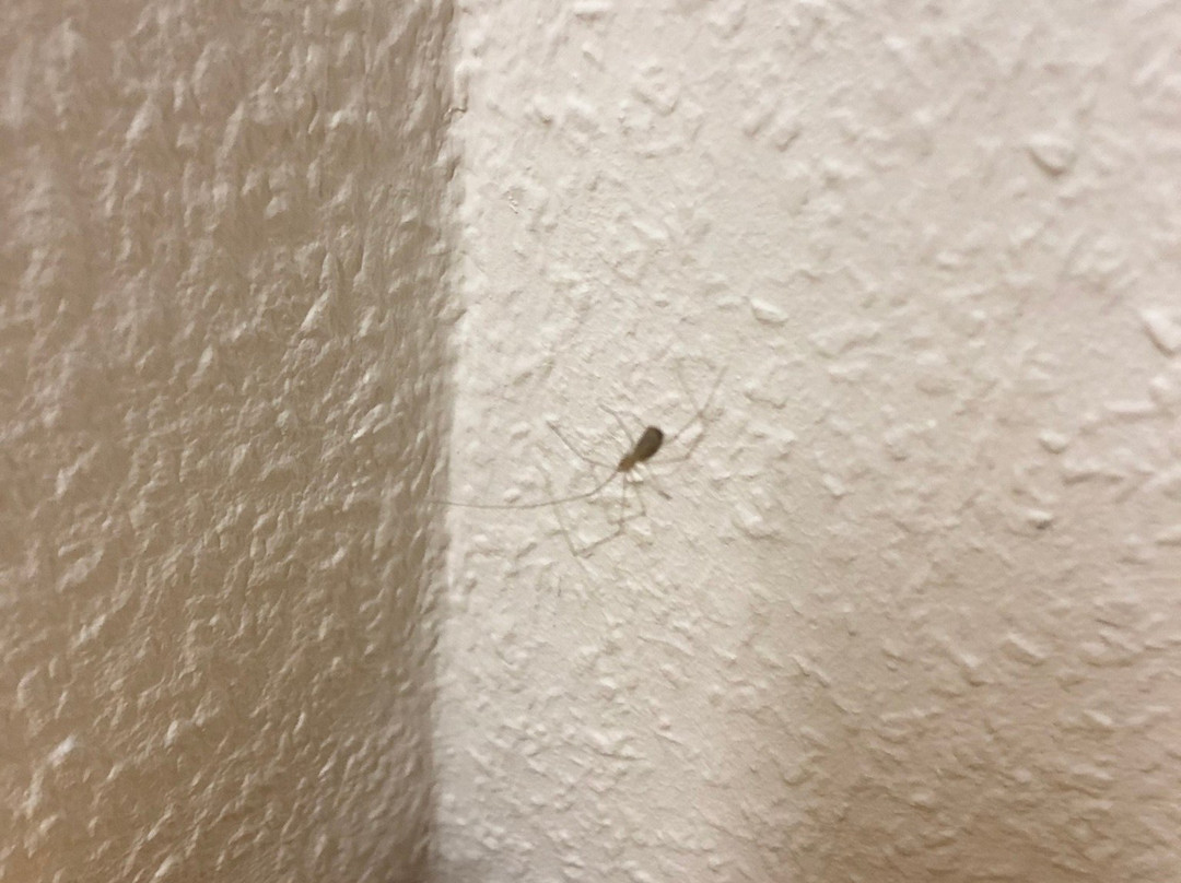 Hotel Pension Winzerhaus主图