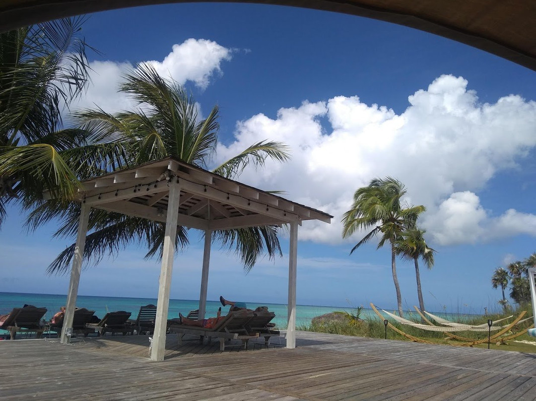 La Bougainvillea主图