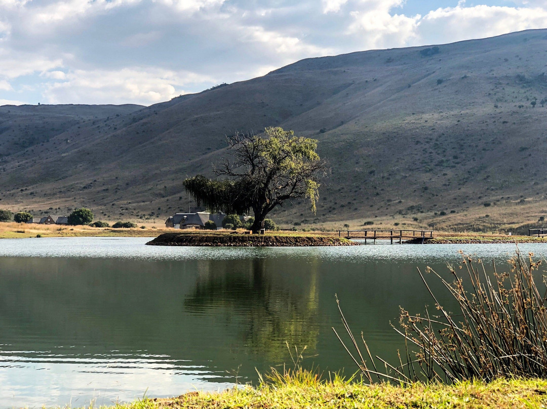 Doornkop Fish and Wildlife Resort景点图片