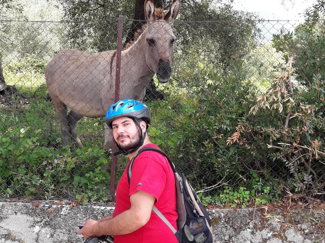 GEO Bicycling and More-Dassia必去景点