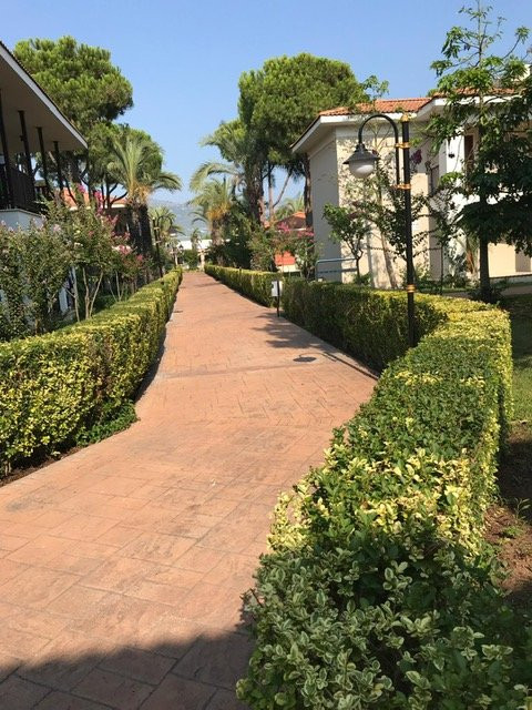 Şah Inn Paradise主图