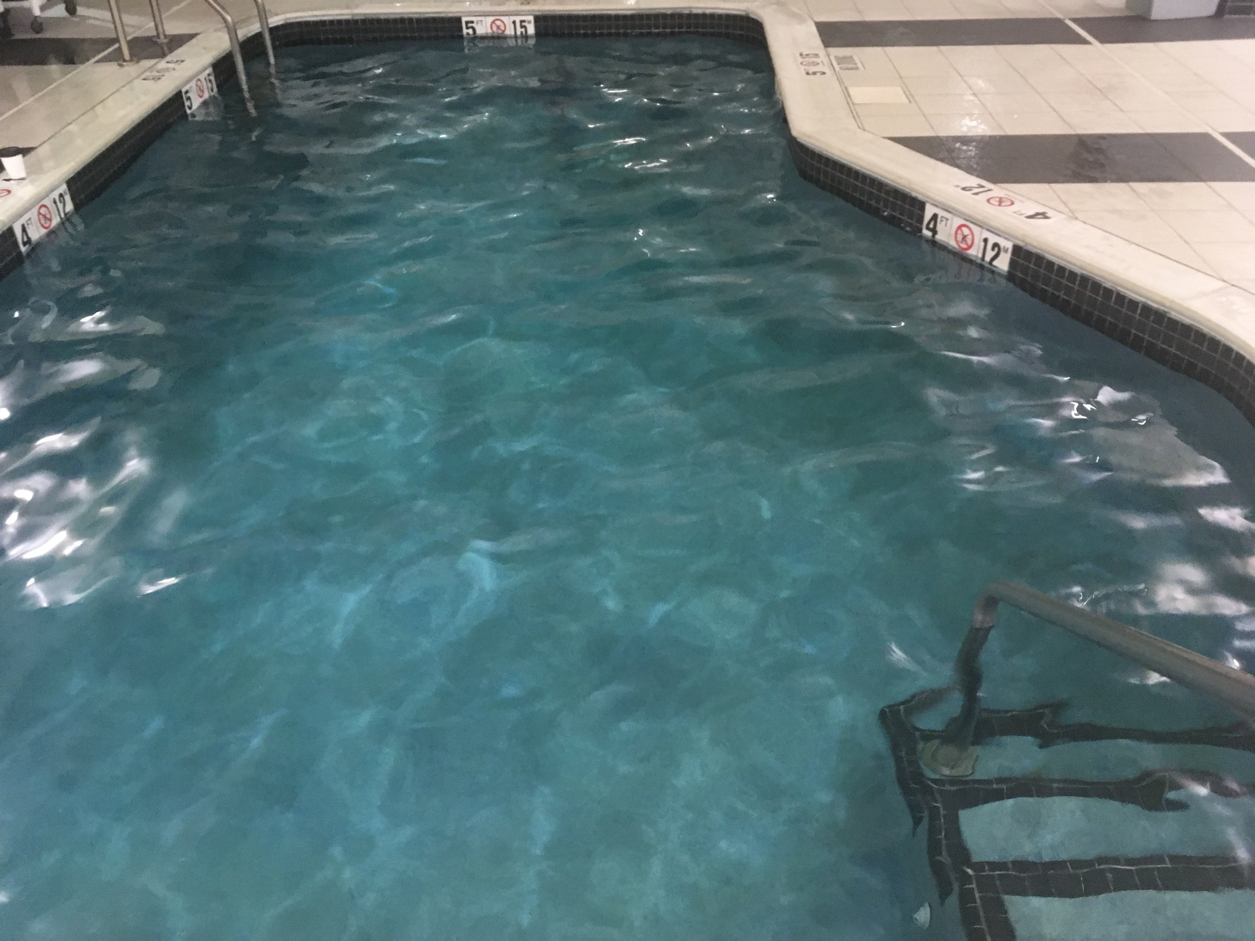 亨廷顿雷斯敦湖费尔菲尔德旅馆&套房酒店-泳池