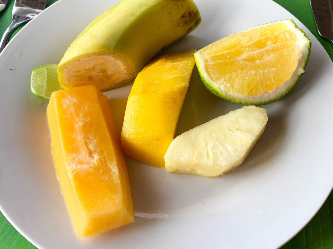 Villa Nyangumi主图