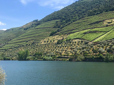 Anetours Transportation and Travel Solutions-马托西纽什必去景点