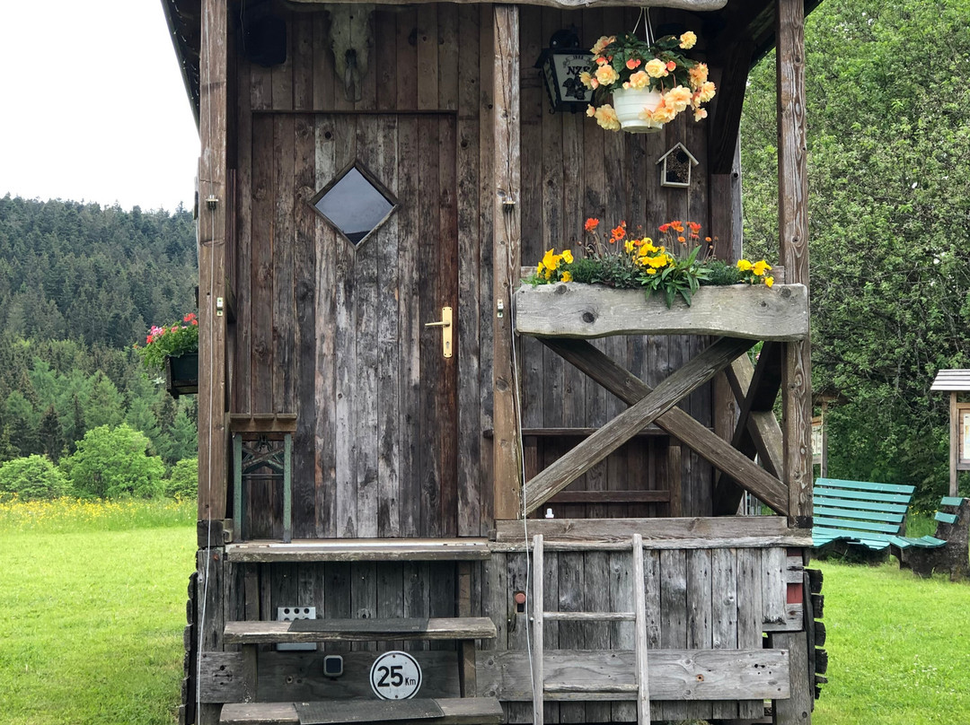 Hotel Grüner Wald主图