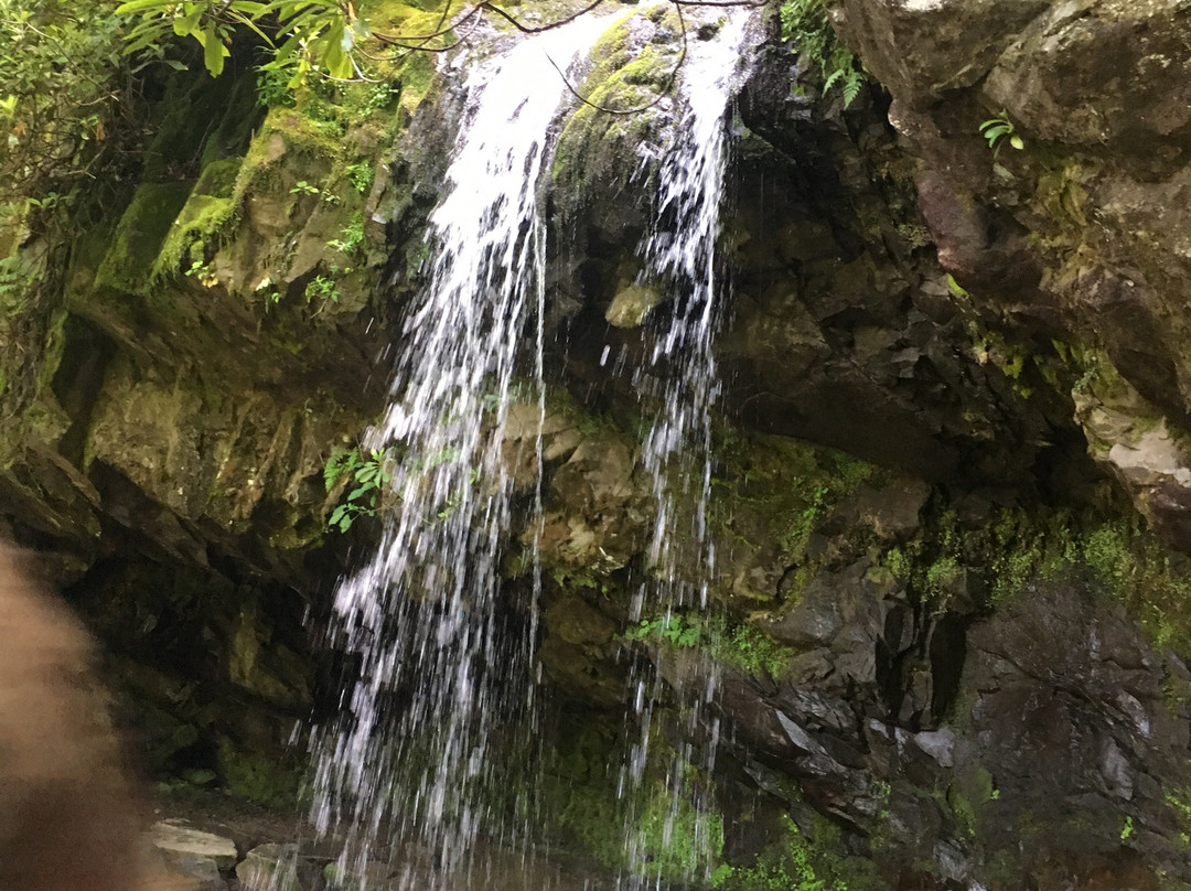 Grotto Falls Trail景点图片