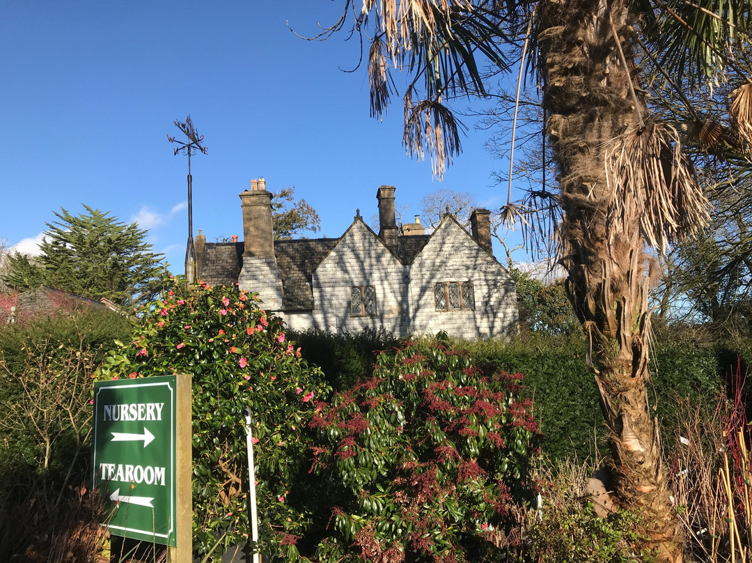 Landscove餐馆和美食-Hill House Nursery Tea Rooms