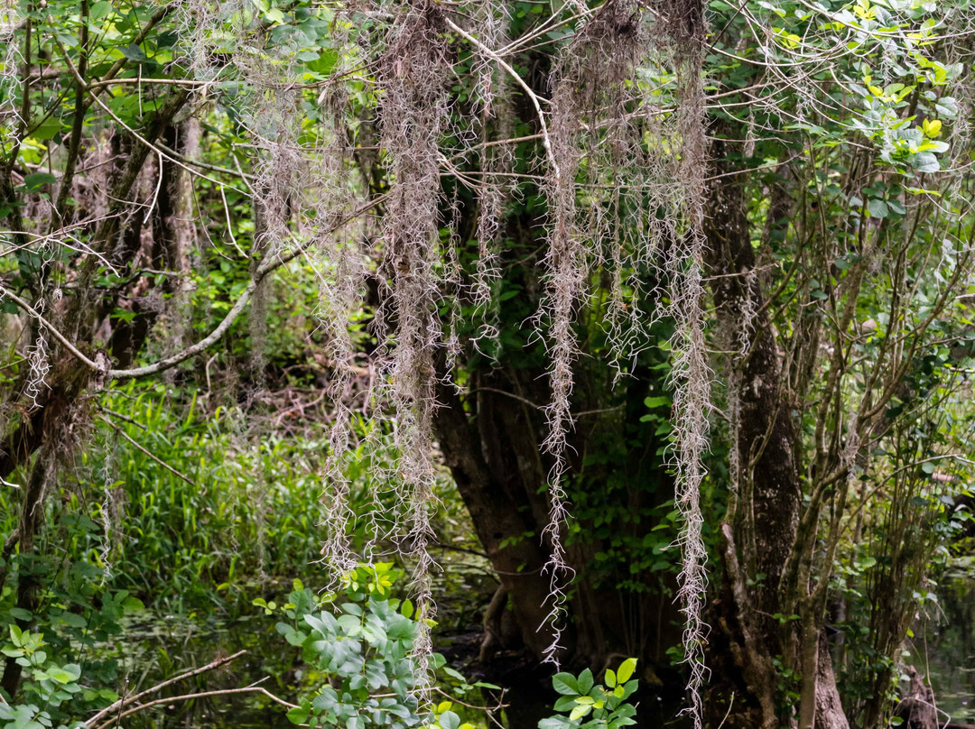 Kirby Storter Roadside Park-奥乔皮必去景点