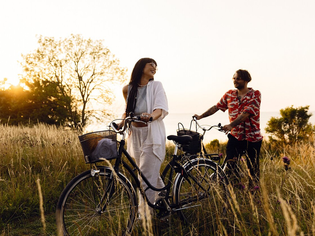 Gotlands Cykeluthyrning-维斯比必去景点
