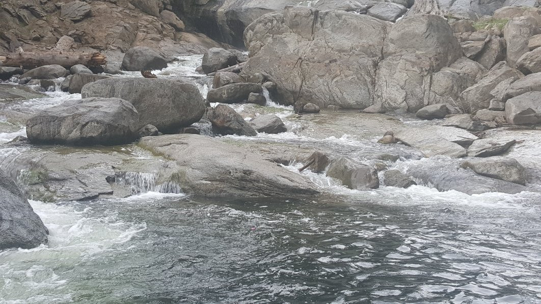 Sierra Marina-Shaver Lake必去景点