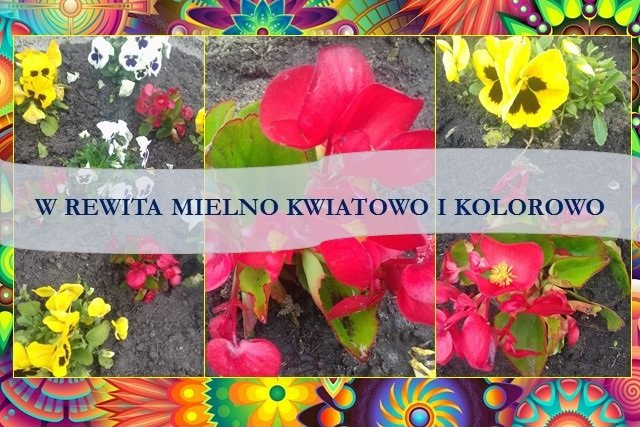 Rewita Mielno主图