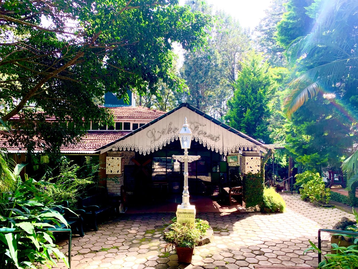 恩德科森林湖酒店-官方