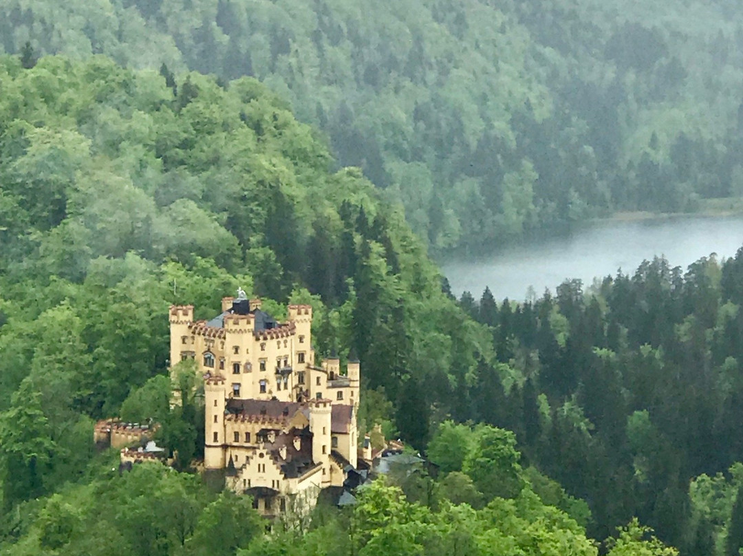 Schloss Hohenschwangau景点图片